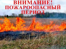 ОСЕНЬ – прекрасная пора заняться уборкой садовых участков