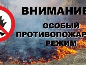 В республике введен особый противопожарный режим
