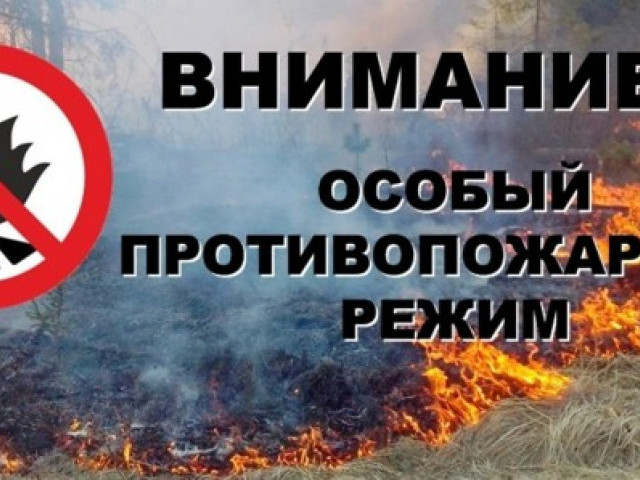 В республике введен особый противопожарный режим