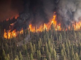 В республике сохраняется чрезвычайная пожароопасность