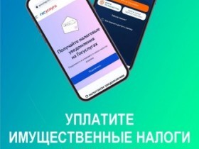 1 декабря - срок уплаты имущественных налогов