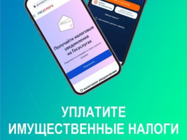 1 декабря - срок уплаты имущественных налогов